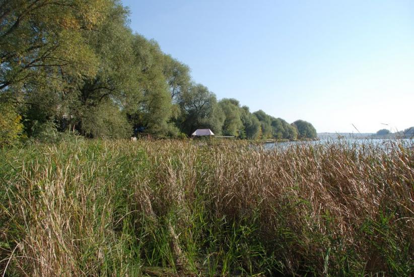 Черняки з panoramio.com - Черняки