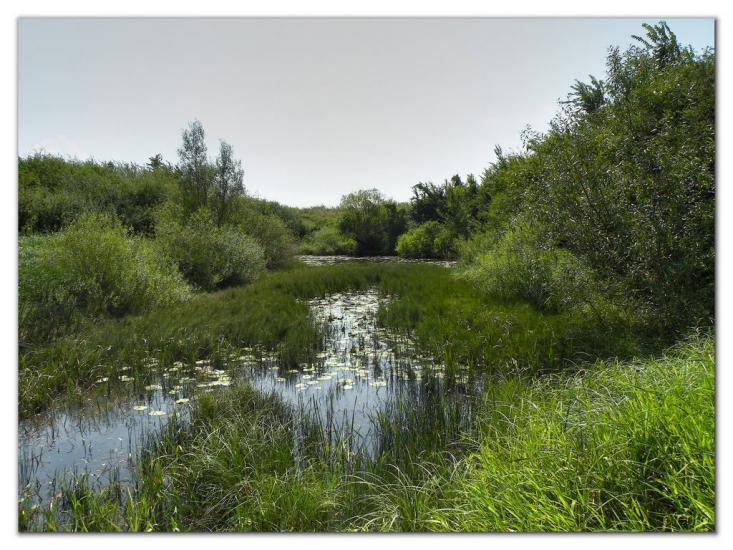 Фертешолмаш з panoramio.com - Фертешолмаш