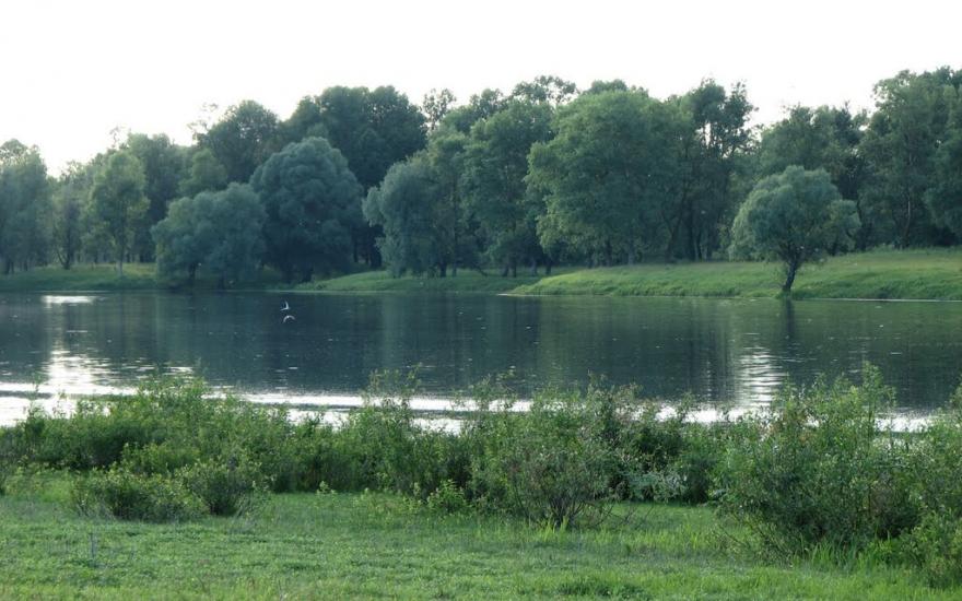 Брусилів з panoramio.com - Брусилов