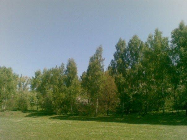 Козівка з panoramio.com - Kozivka