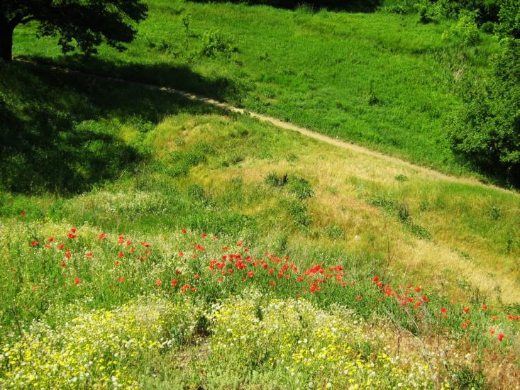 Дебальцеве з panoramio.com - The Debaltsevo