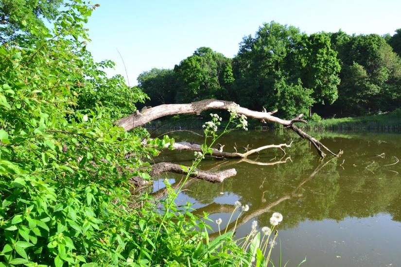 Шабельківка з panoramio.com - Шабельківка
