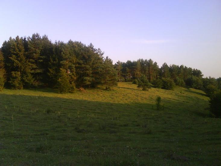 Лисогірка з panoramio.com - Лысогорка