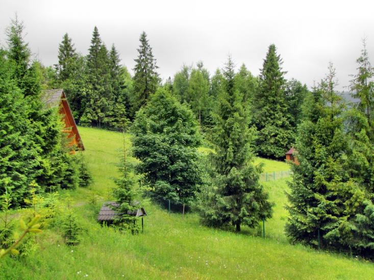 Орявчик з panoramio.com - Орявчик