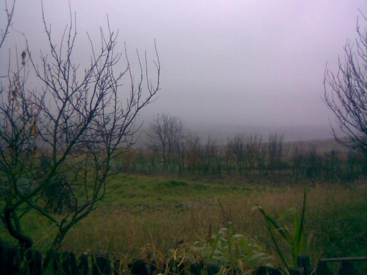 Подвір'ївка з panoramio.com - Подворьевка