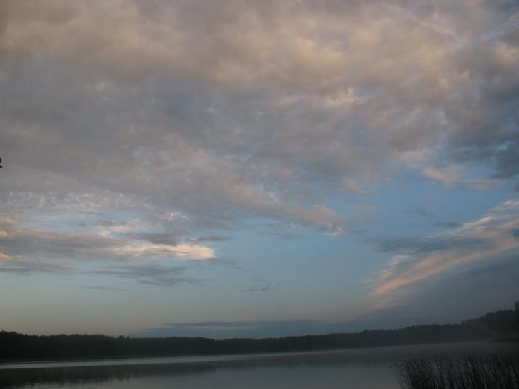 Піски-Річицькі з panoramio.com - Піски-Річицькі