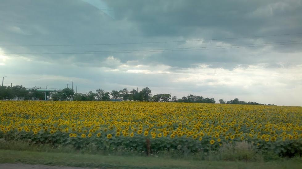 Приморськ з panoramio.com - Приморск