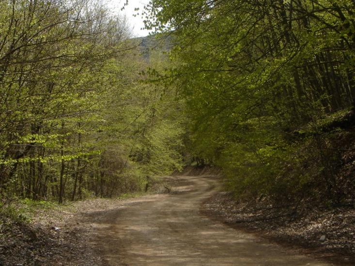 Багата Ущелина з panoramio.com - Bagata Uschelyna