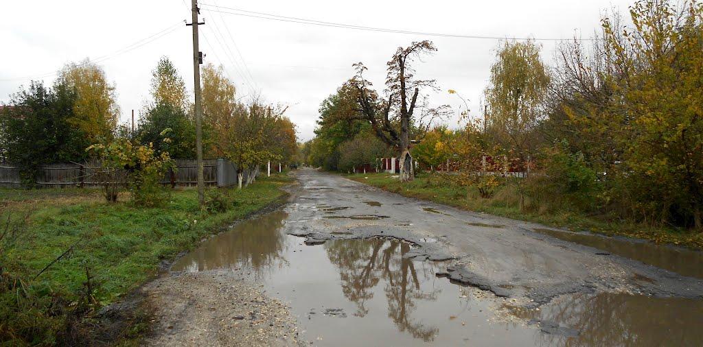 Кобижча з panoramio.com - Кобижча
