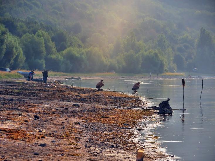 Каштанівка з panoramio.com - Каштановка