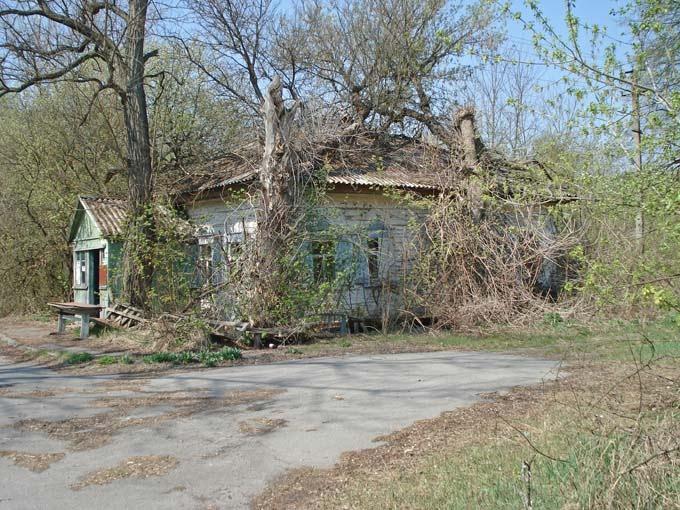 Нівецьке з panoramio.com - Нивецкое