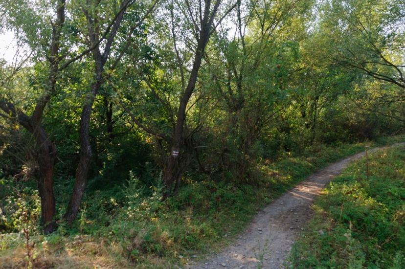 Великий Березний з panoramio.com - Великий Березний