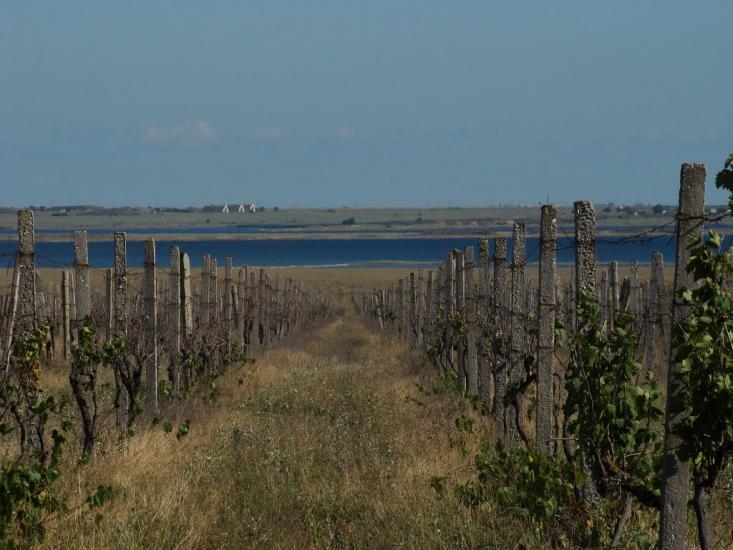 Медведеве з panoramio.com - Медведево