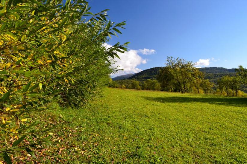 Люта з panoramio.com - Люта