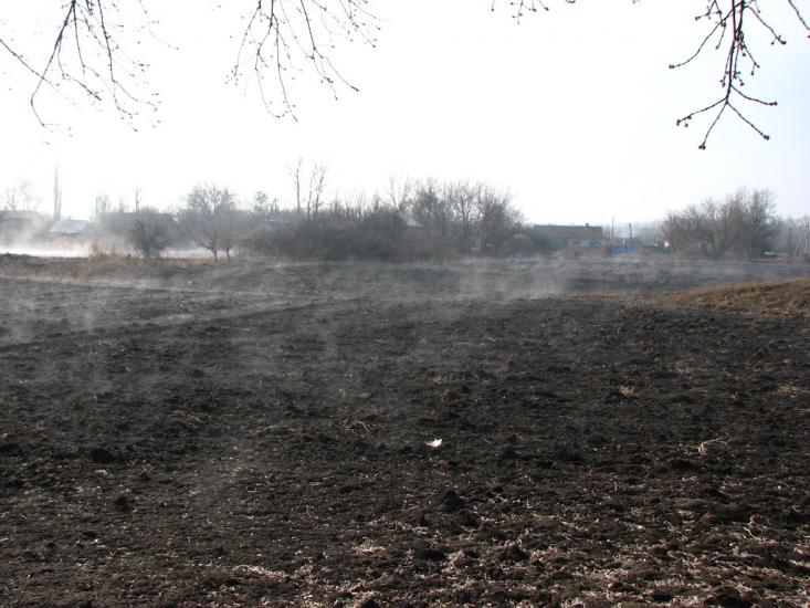 Литвинівка з panoramio.com - Литвиновка