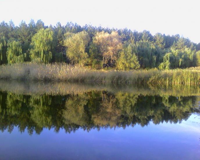 Зубове з panoramio.com - Зубово