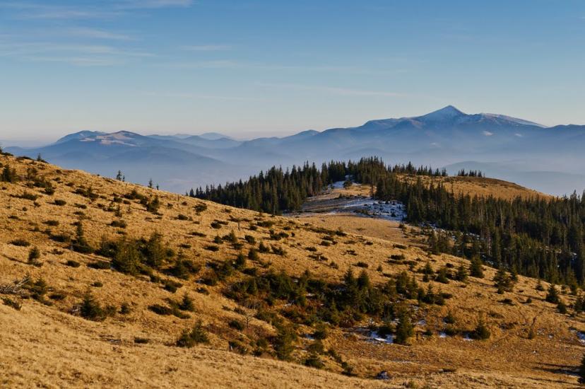 Чорна Тиса з panoramio.com - Черная Тиса