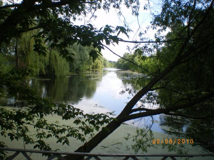 Червоні Партизани з panoramio.com - Володьковська Дівиця