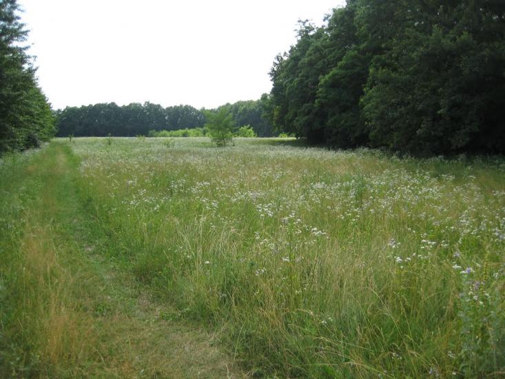 Старосілля з panoramio.com - Старосілля