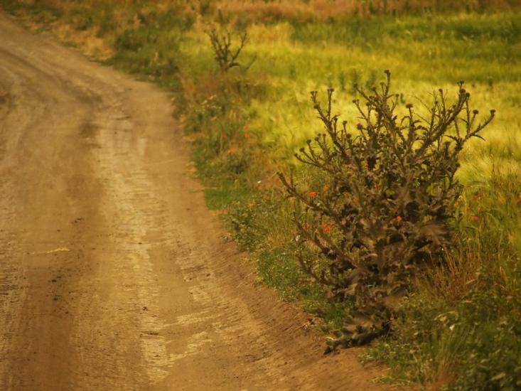 Переможне з panoramio.com - Переможное