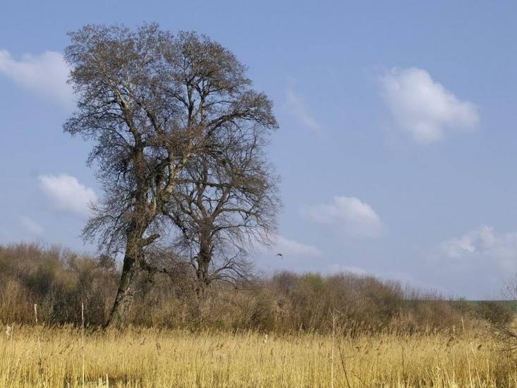 Перемисловичі з panoramio.com - Перемисловичі