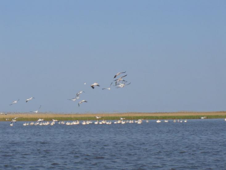 Приморське з panoramio.com - Prymorske