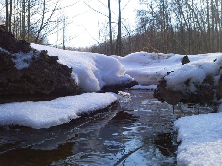 Іволжанське з panoramio.com - Ivolzhanske