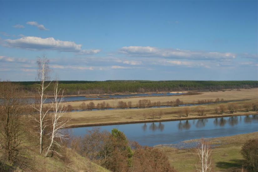 Радичів з panoramio.com - Радичев
