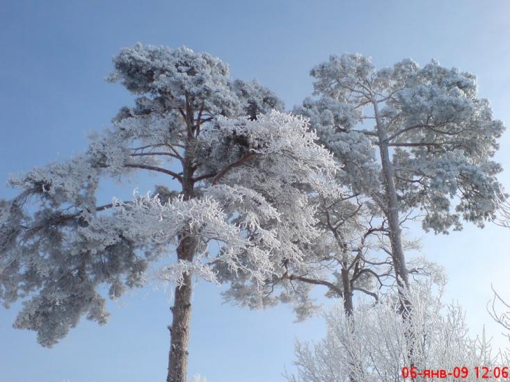 Попівка з panoramio.com - Поповка