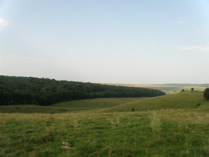 Монастириська з panoramio.com - Монастыриска