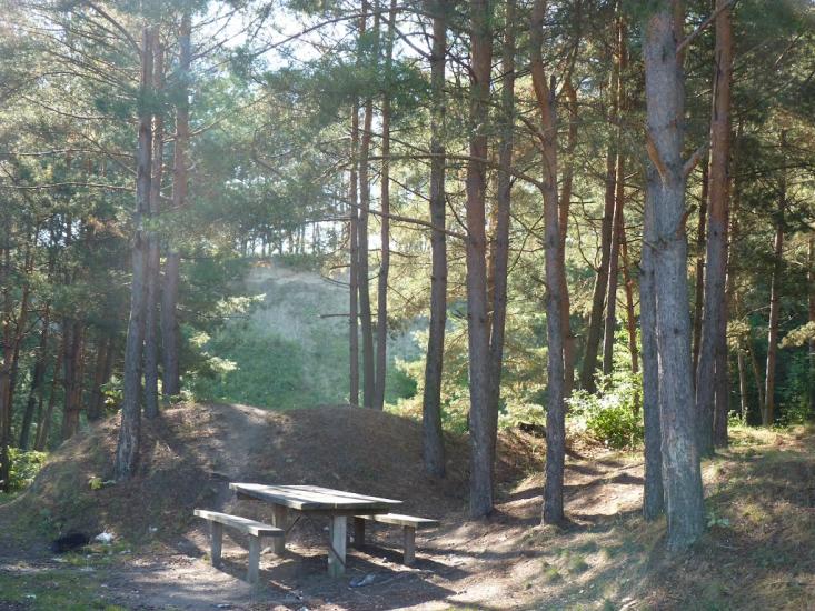 Медвин з panoramio.com - Медвин