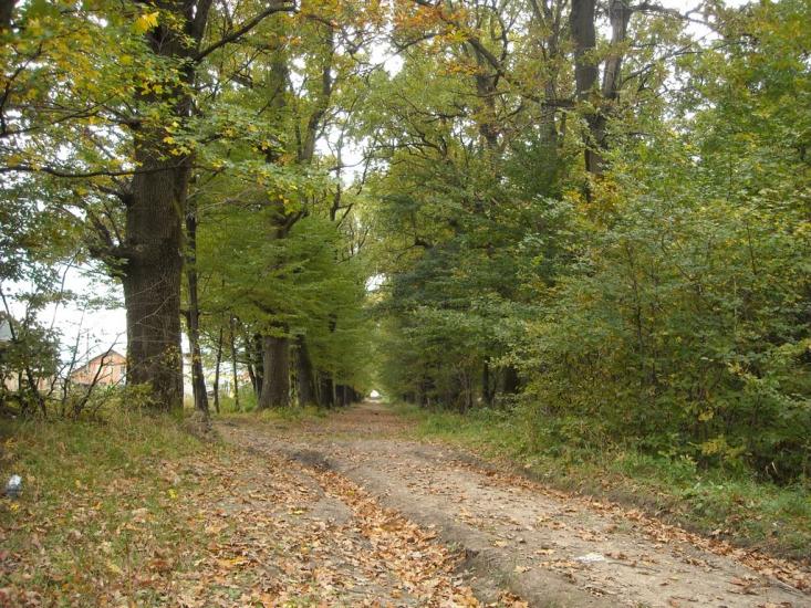 Сторожинець з panoramio.com - Сторожинец