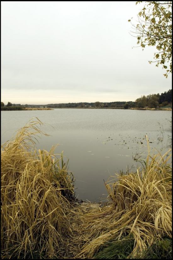 Глібівка з panoramio.com - Глебовка