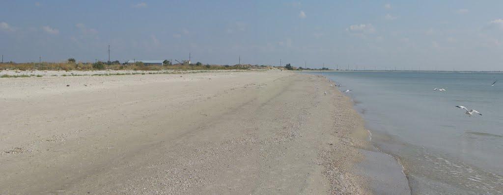 Степанівка Перша з panoramio.com - Степанівка Перша