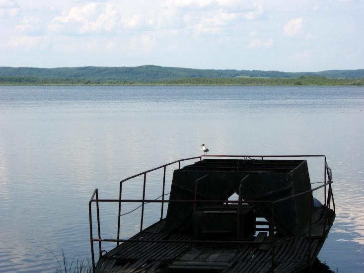 Івано-Франкове з panoramio.com - Ивано-Франково