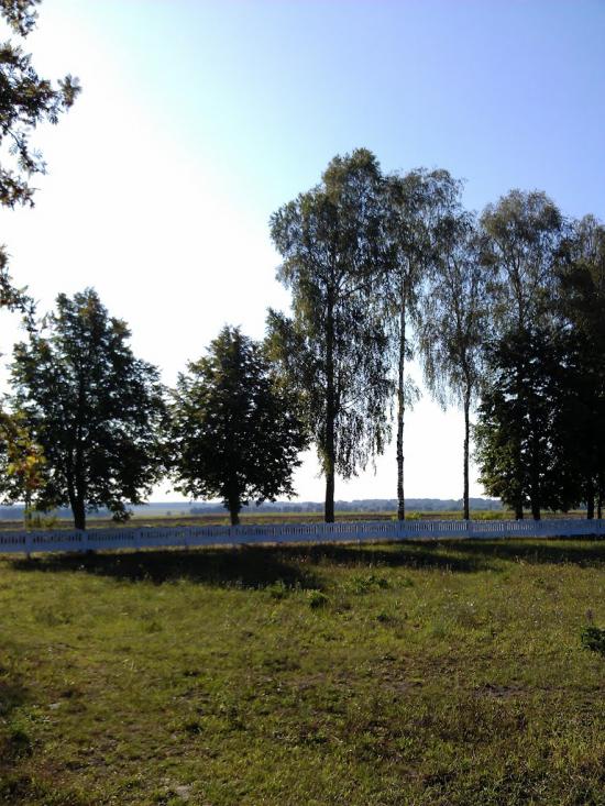 Великі Крушлинці з panoramio.com - Великі Крушлинці