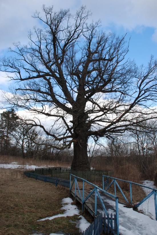 Коропове з panoramio.com - Коропово