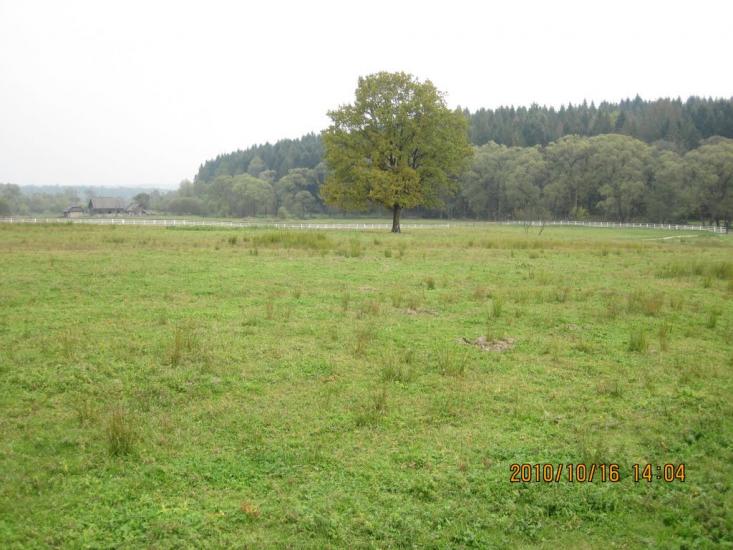 Стара Красношора з panoramio.com - Старая Красношора