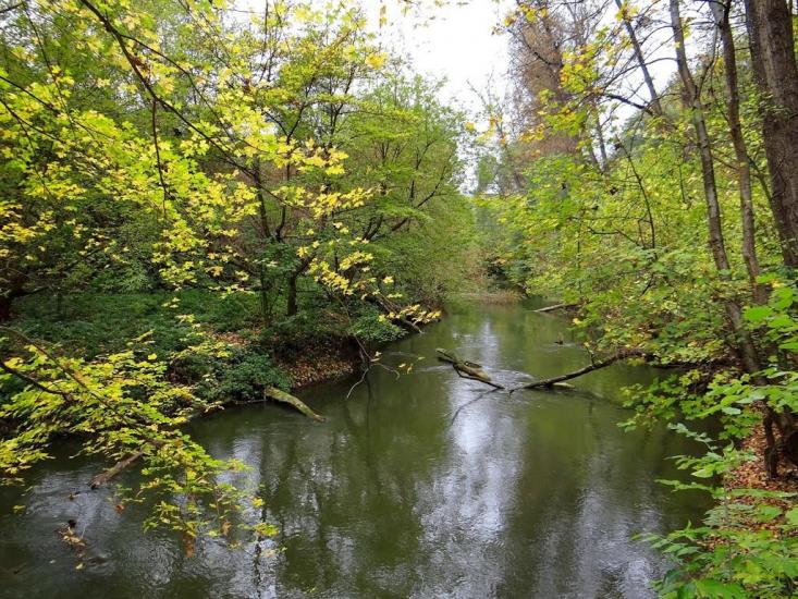 Кринцілів з panoramio.com - Кринцілів