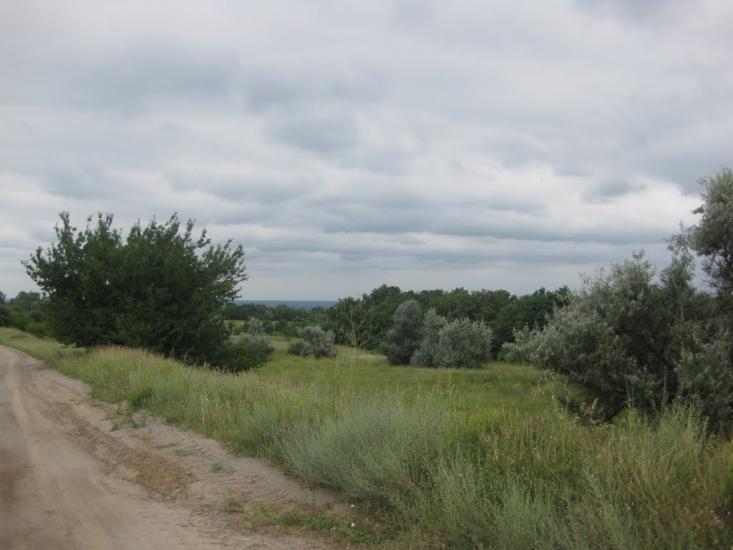Садки з panoramio.com - Садки