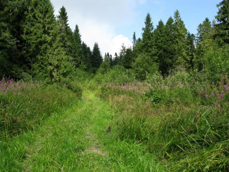 Розлуч з panoramio.com - Rozluch