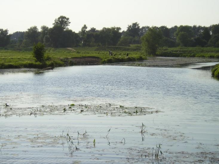 Чорногородка з panoramio.com - Чорногородка