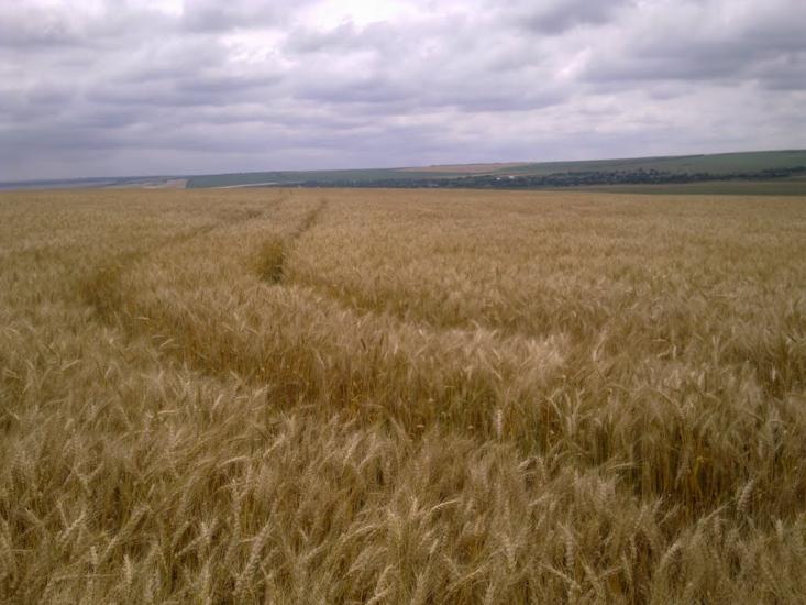 Юр'ївка з panoramio.com - Юрьевка