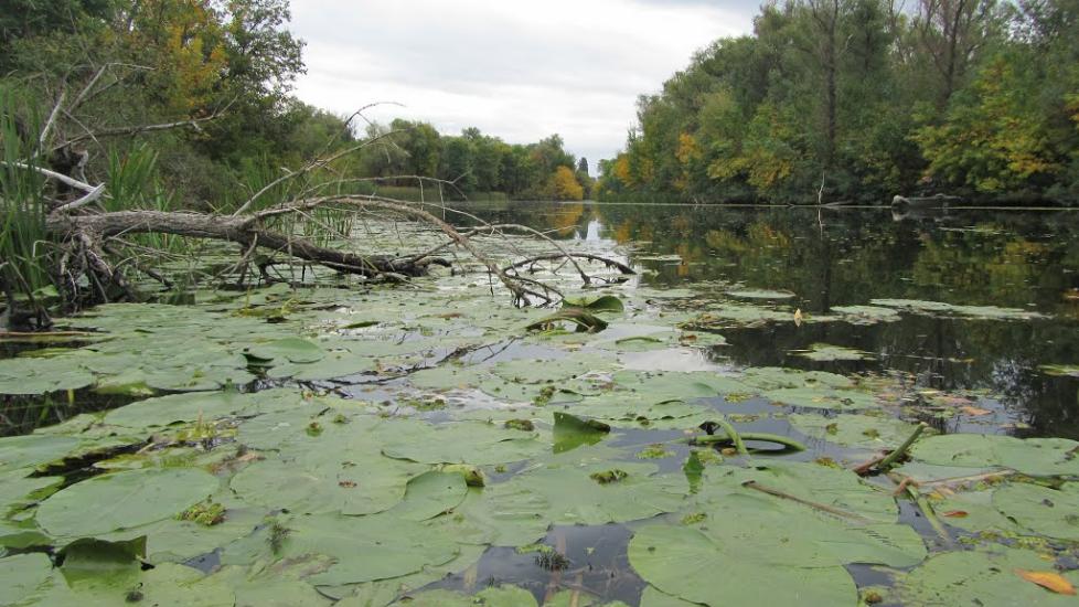 Кринки з panoramio.com - Кринки