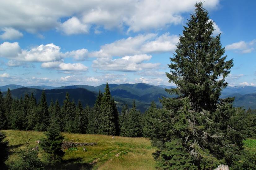 Заверхня Кичера з panoramio.com - Заверхняя Кичера