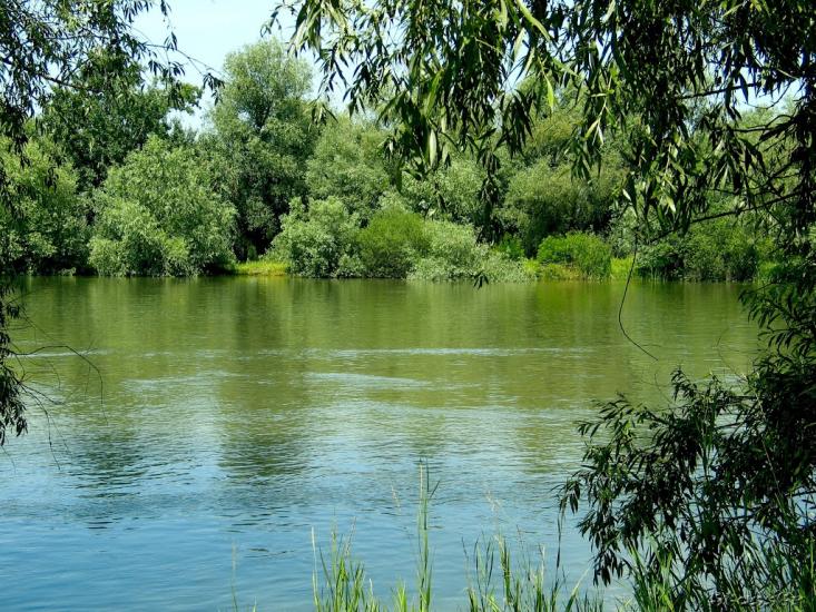 Яськи з panoramio.com - Jasky