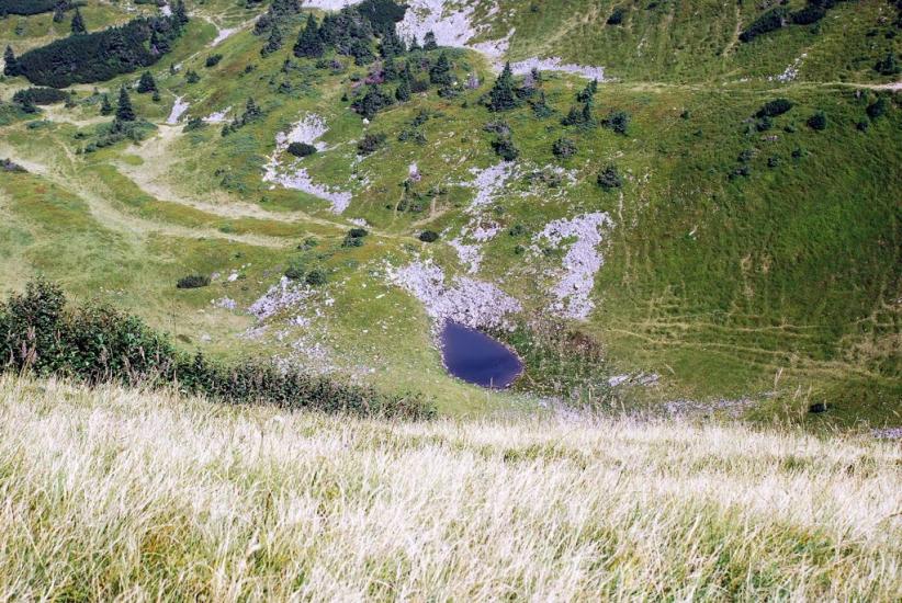 Заверхня Кичера з panoramio.com - Заверхня Кичера