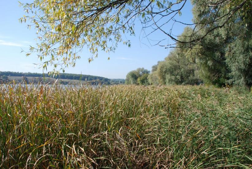 Черняки з panoramio.com - Черняки