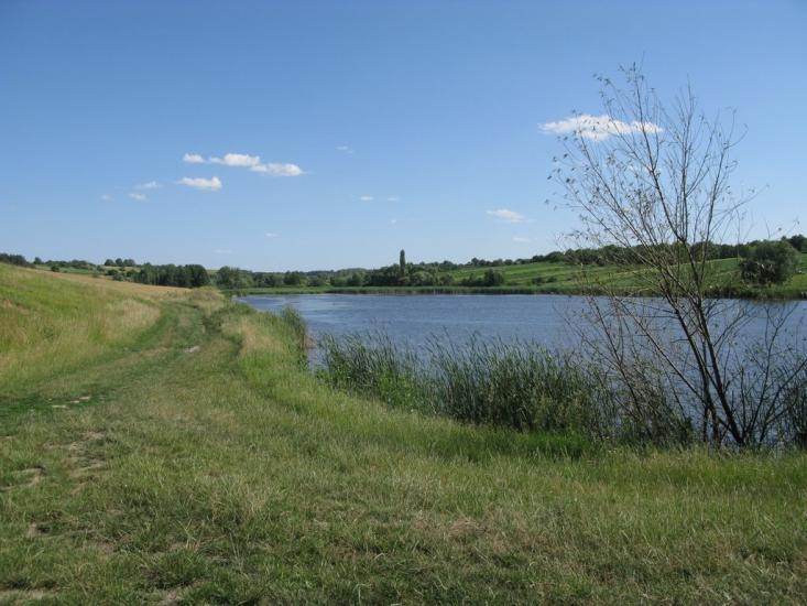 Салиха з panoramio.com - Салиха
