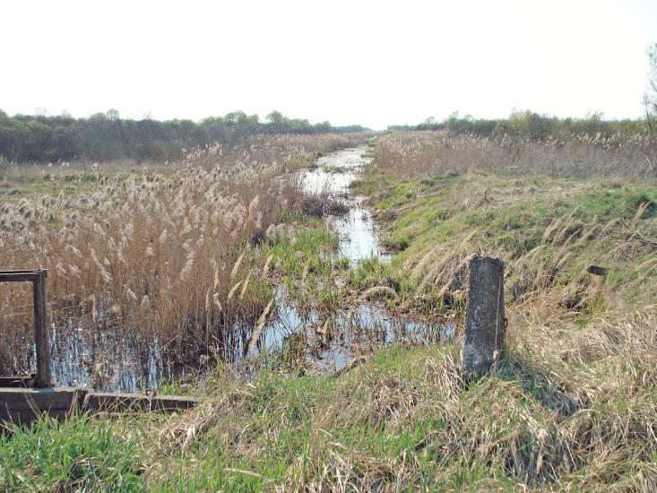 Нівецьке з panoramio.com - Нивецкое